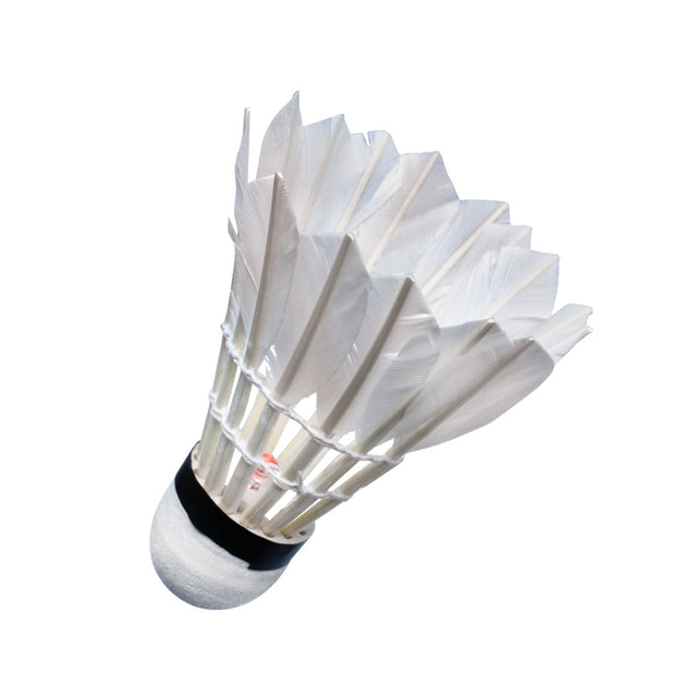 Quinergys ™ Novelty Sport LED Glowing Light-up Badminton Shuttlecock  Feather Shuttle - White - Buy Quinergys ™ Novelty Sport LED Glowing  Light-up Badminton Shuttlecock Feather Shuttle - White Online at Best Prices