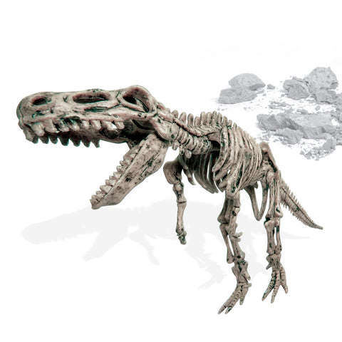Dinosaur Fossil Kit