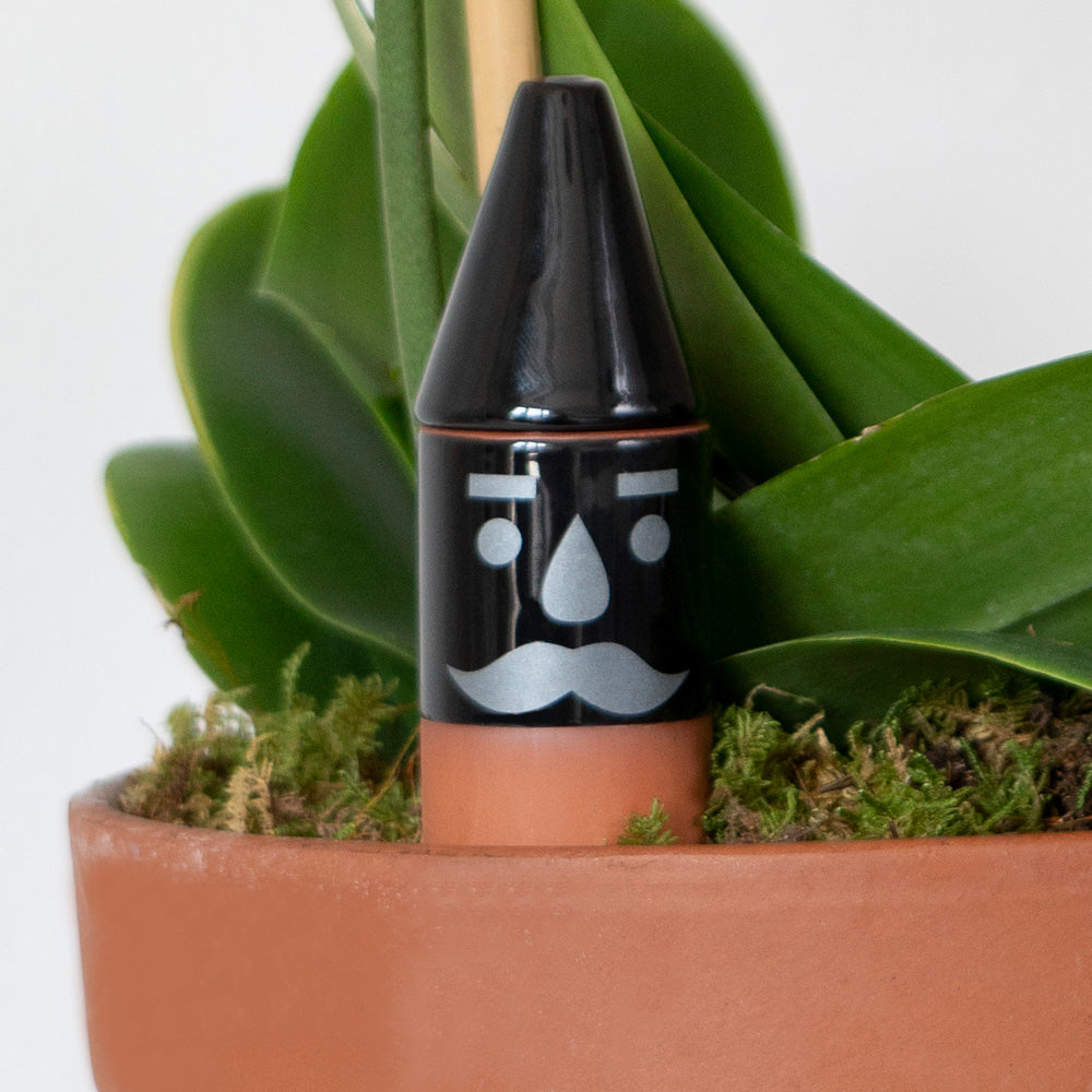 Thirsty Gnome™ Self Watering Plant Stake